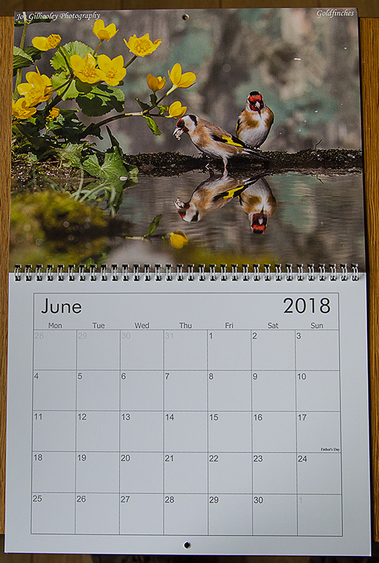 JUNE 2018 Scottish Calendar - Goldfinches