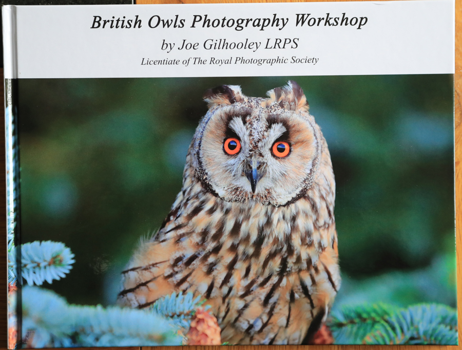 British Owls Photo Book