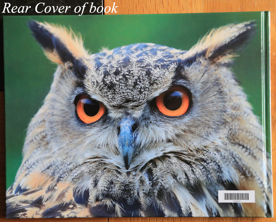 British OwlsPhotography Book 