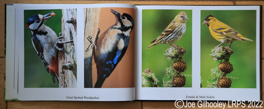 My Nature Photography Book 