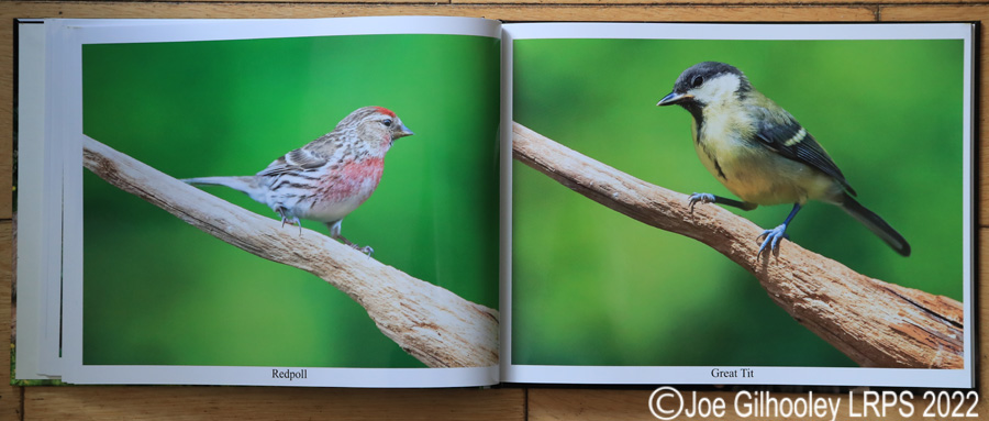 My Nature Photography Book 