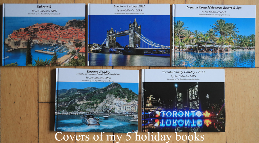 Covers of my 5 holiday photo books