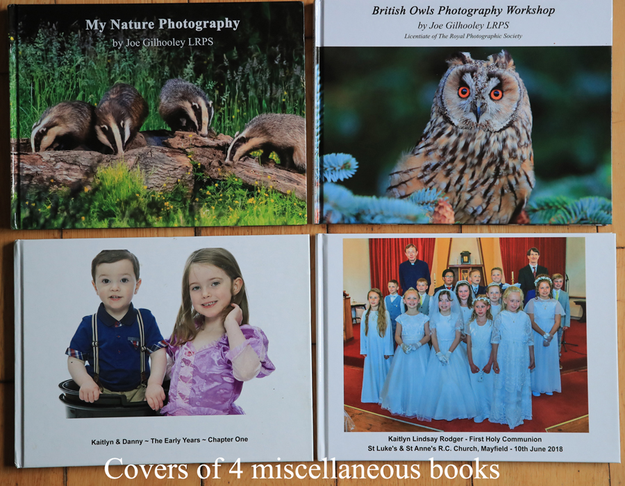 Covers of 4 miscellaneous photo books