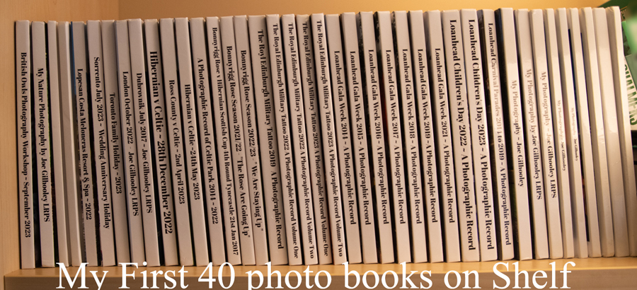 My first 40 photo books on shelf in my room