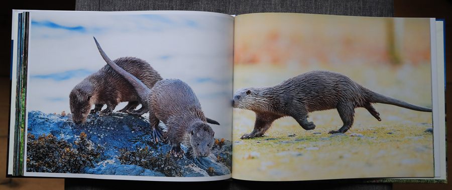 My Photography Book - 9th Edition January 2024 - the inside pages on my Mull photography