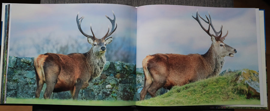 My Photography Book - 9th Edition January 2024 - the inside pages on my Mull photography