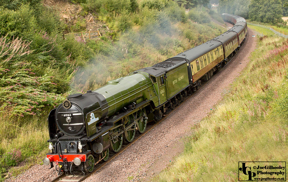 Tornado 60163 Steam Train on Borders Railway 