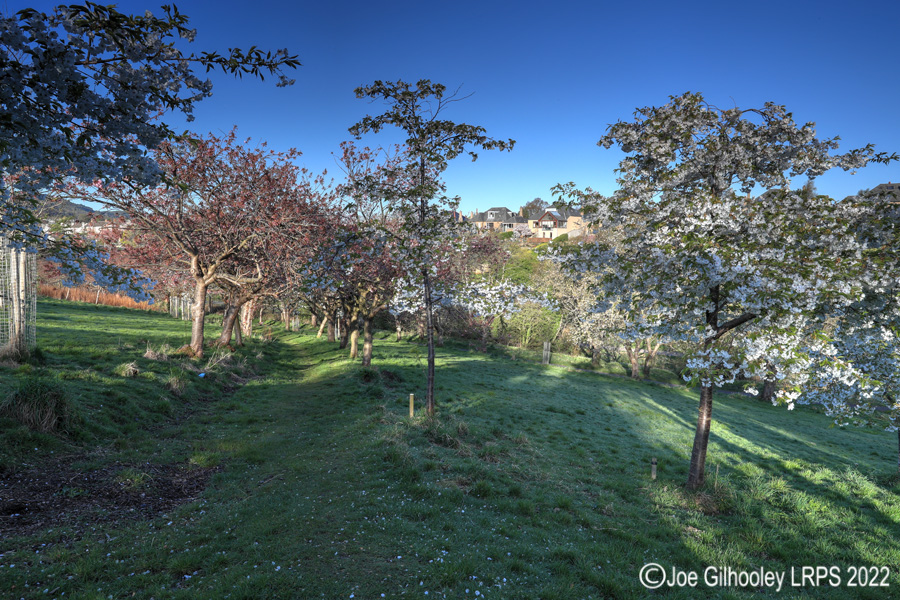 Braidburn Valley Park, Edinburgh 