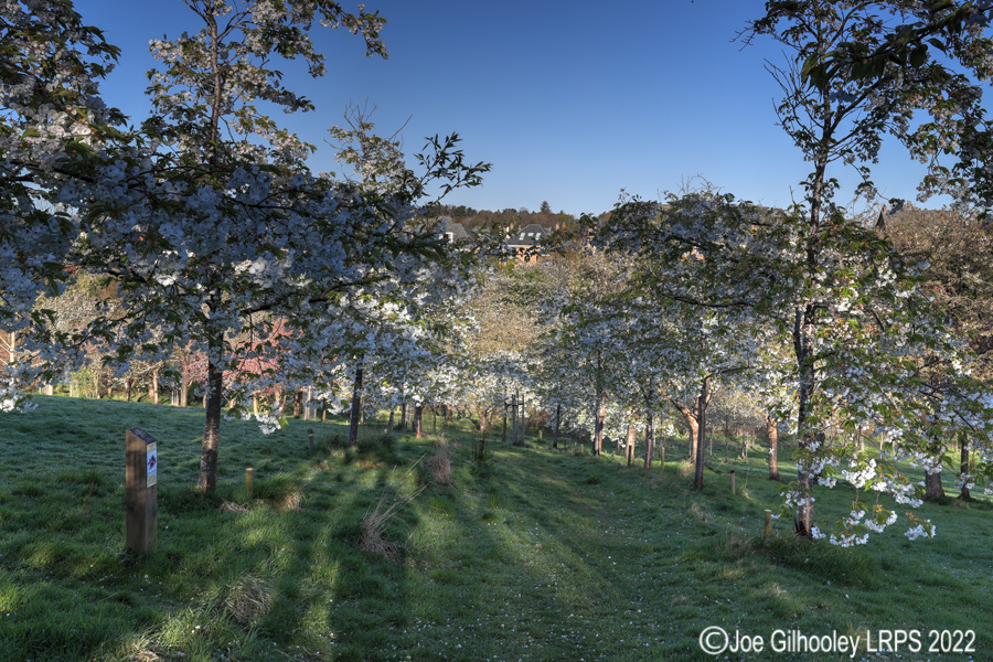 Braidburn Valley Park, Edinburgh 