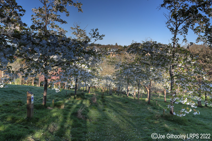 Braidburn Valley Park, Edinburgh 