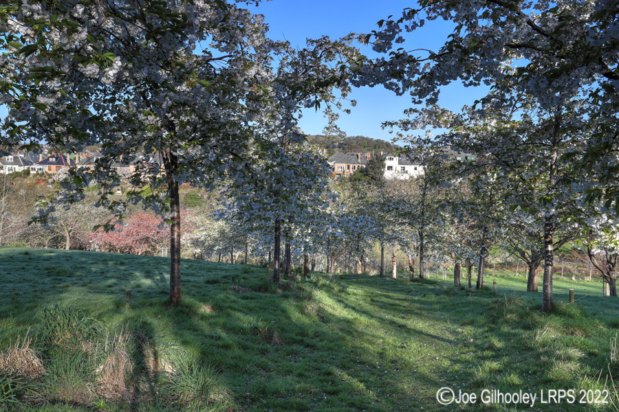 Braidburn Valley Park, Edinburgh 