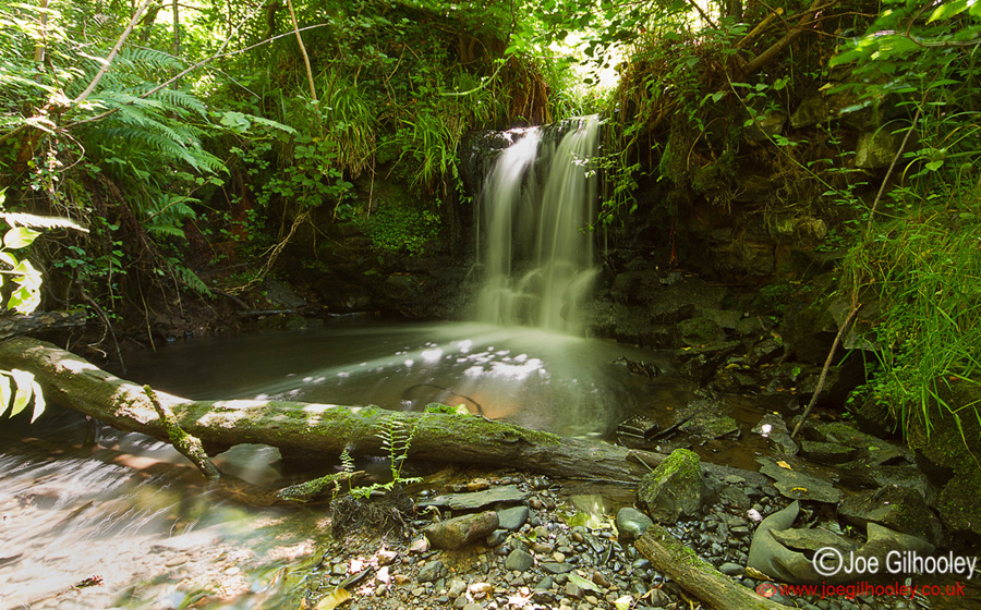 Hidden Waterfall Dryden Woods
