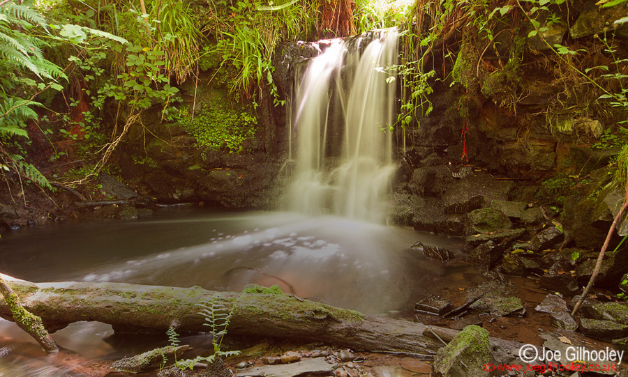 Hidden Waterfall Dryden Woods