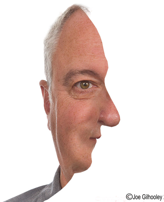 Face illusion