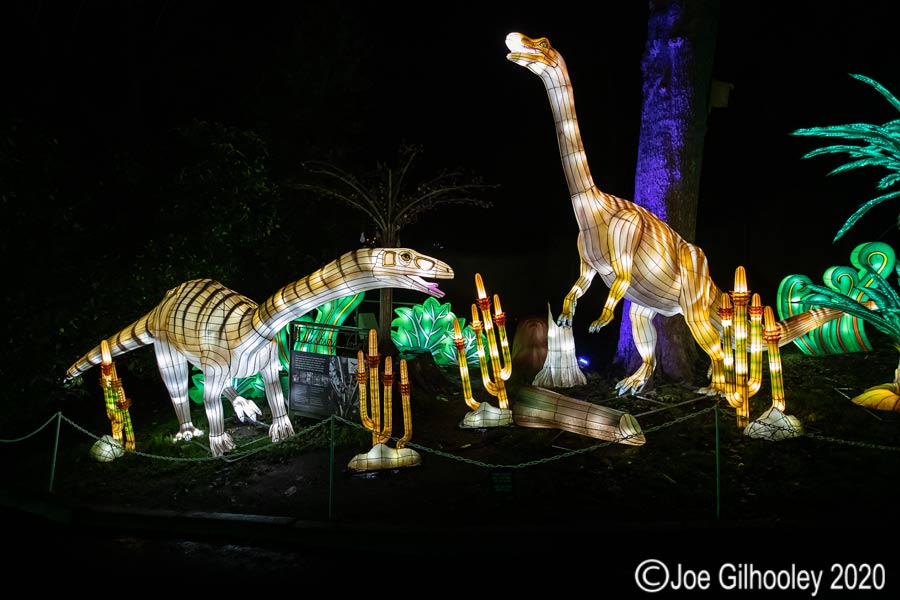 Giant Lanterns Edinburgh Zoo