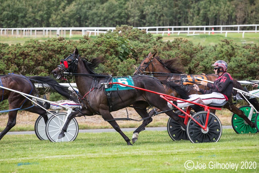Harness Racing at Musselburgh