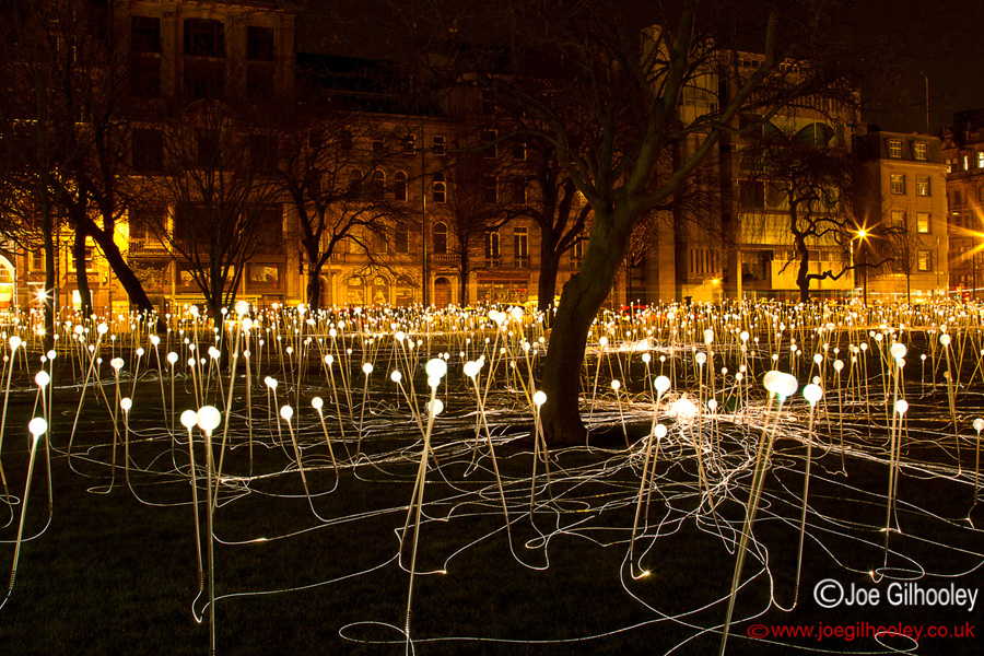 St Andrew Square - Field of Light - Tuesday 4th February 2014