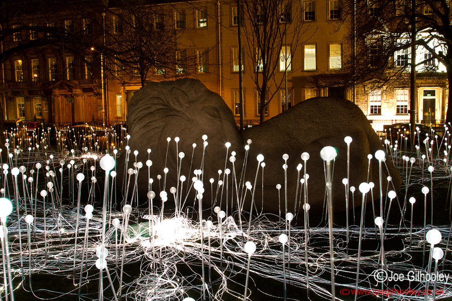 St Andrew Square - Field of Light - Tuesday 4th February 2014