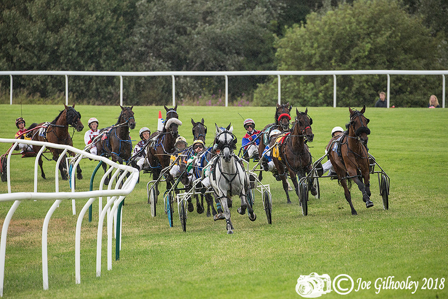 Harness Racing at Musselburgh Racecourse