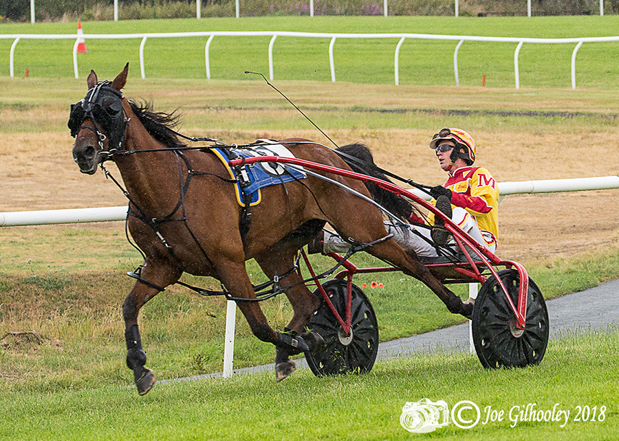 Harness Racing at Musselburgh Racecourse