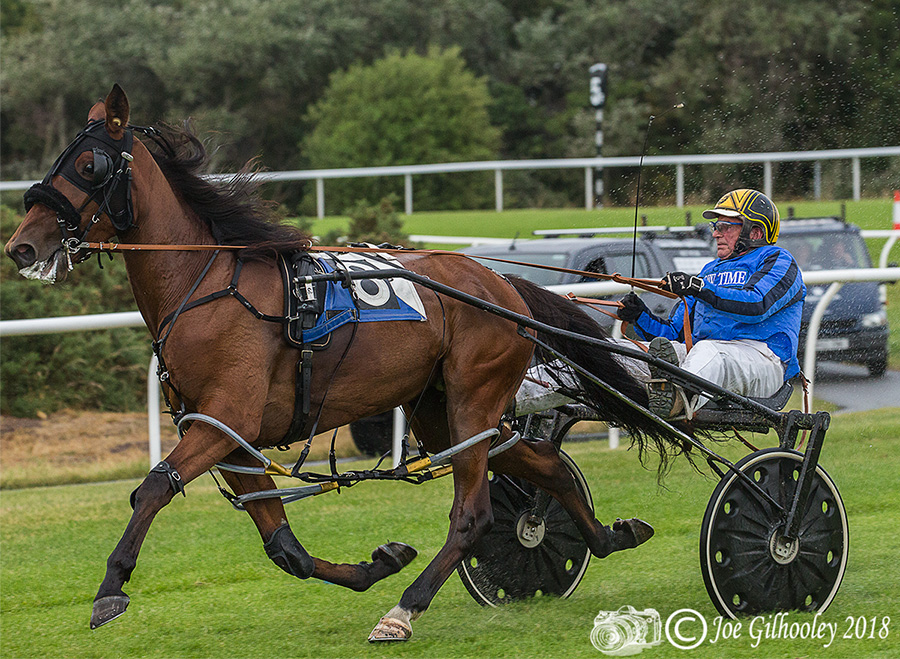 Harness Racing at Musselburgh Racecourse - Fifth race in the rain. Lots of spray from wheels