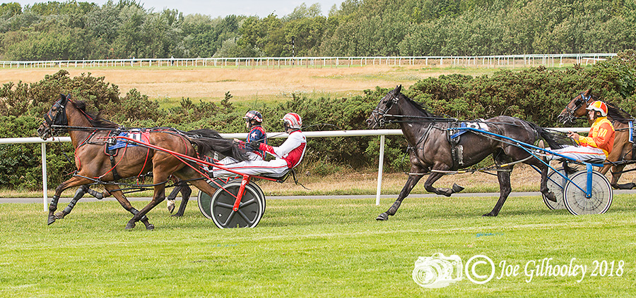 Harness Racing at Musselburgh Racecourse - Second race 