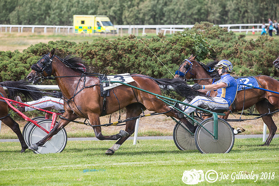 Harness Racing at Musselburgh Racecourse - Third race 