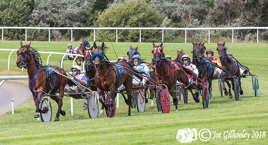 Harness Racing at Musselburgh Racecourse - Fourth race 