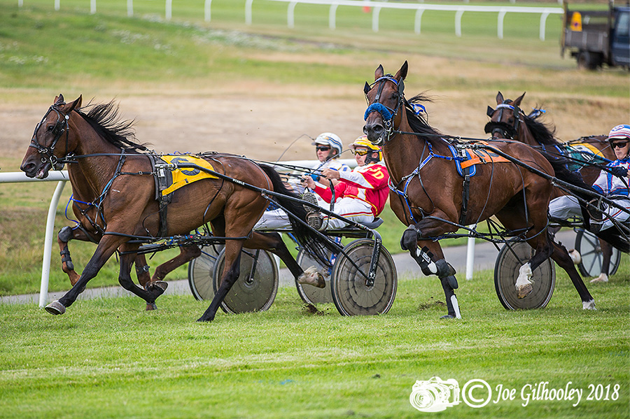 Harness Racing at Musselburgh Racecourse - Fifth race 