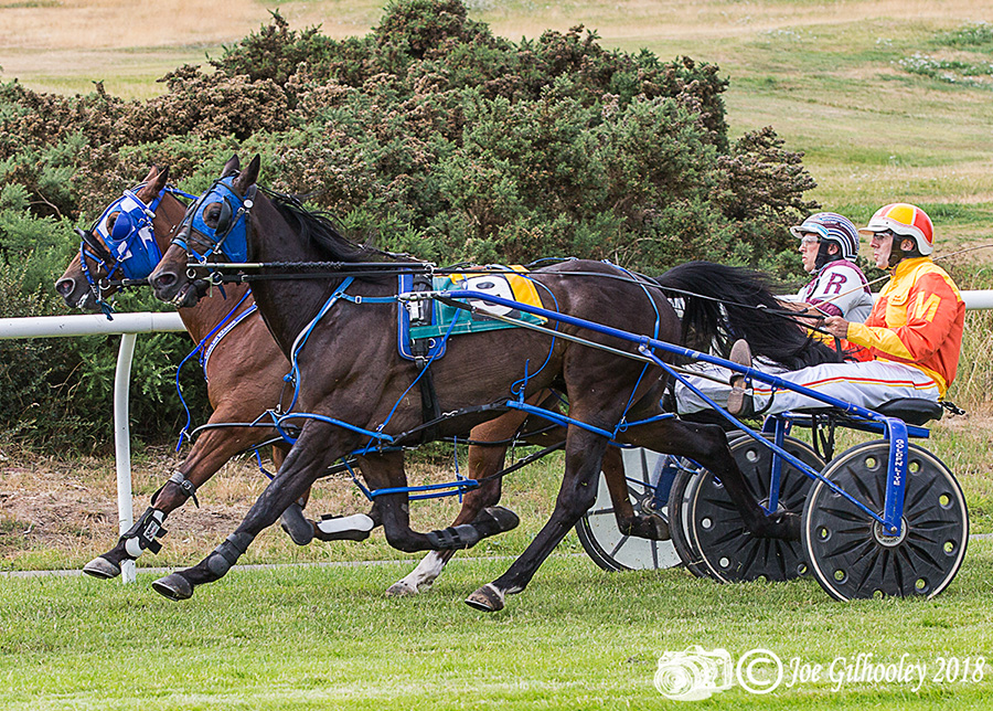 Harness Racing at Musselburgh Racecourse - Sixth race