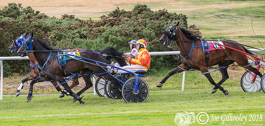 Harness Racing at Musselburgh Racecourse - Sixth race