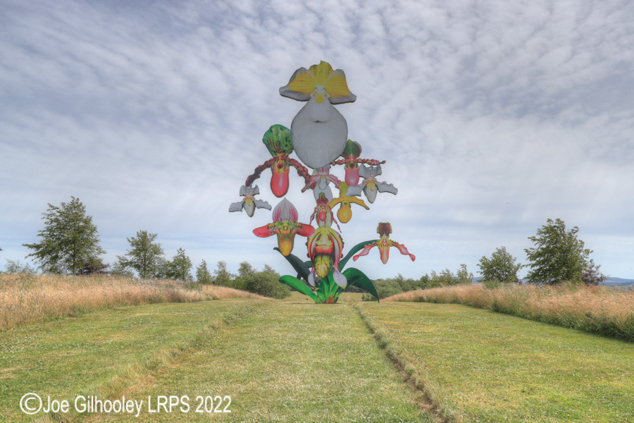 Jupiter Artland Love Bomb Stainless Steel Orchid Sculpture Jupiter Artland Love Bomb Stainless Steel Orchid Sculpture