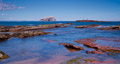 The Bass Rock & Tantallon Castle from Seacliff 9th July 2014