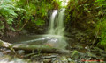 Dryden Woods hidden Waterfall 13th July 2014