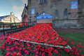 Loanhead Garden of Remembrance by Day November 2022