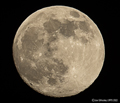 The Moon 98.8% waxing 16th January 2022