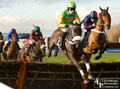 Musselburgh Races 8th February 2016