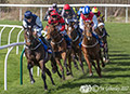 Musselburgh Races 15th April 2017