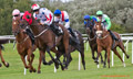Musselburgh Races 20th August 2014