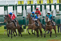 Musselburgh Races 22nd April  2015