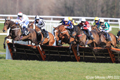 Musselburgh Horseracing Jumps meeting 25th March 2022