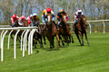 Musselburgh Races 13th May 2013