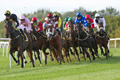 Musselburgh Races Monday 14th October 2013