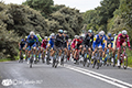 Tour of Britain Cycle Race Stage 1 Edinburgh 3rd Sept 2017