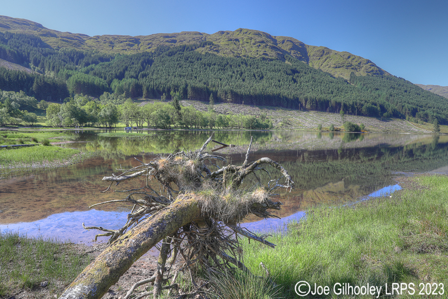 Loch Doine Reflections
