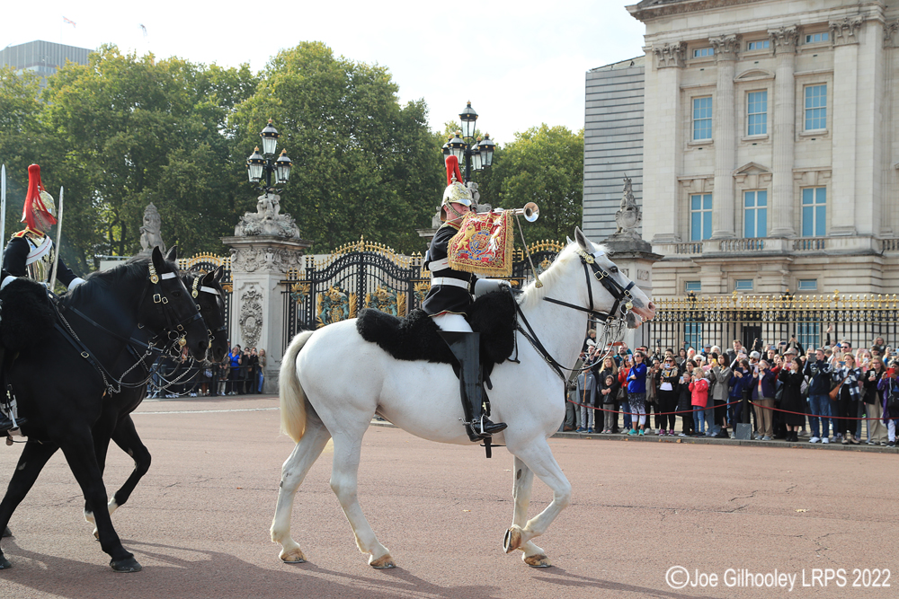 Buckingham Palace