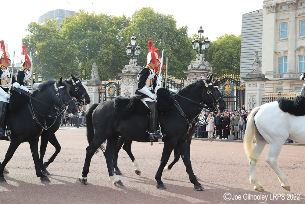 Buckingham Palace