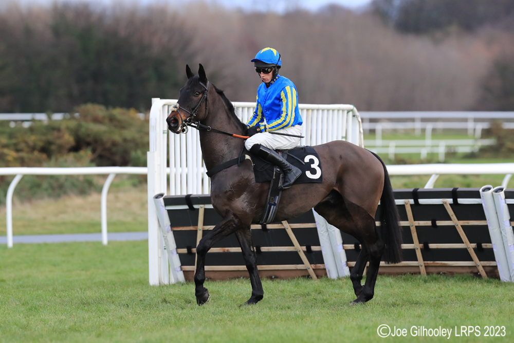 Musselburgh Horseracing - Jumps Meeting

