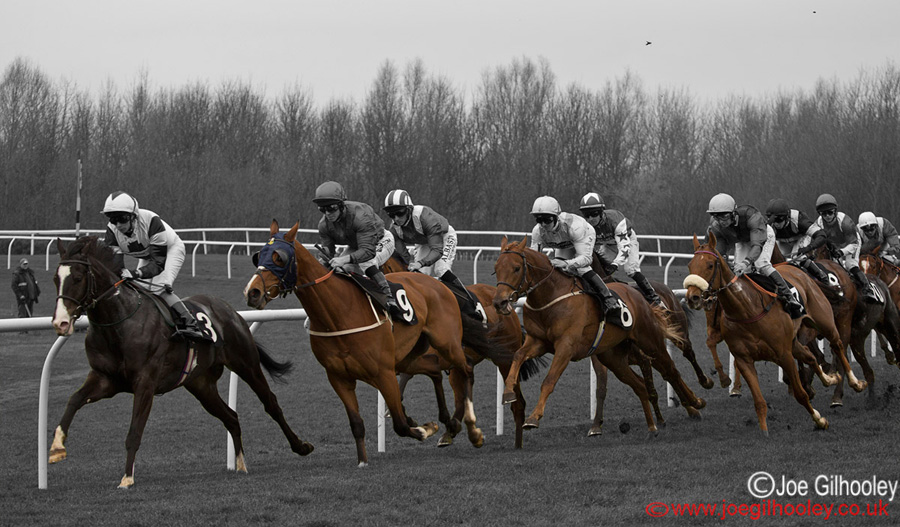 Musselburgh Races