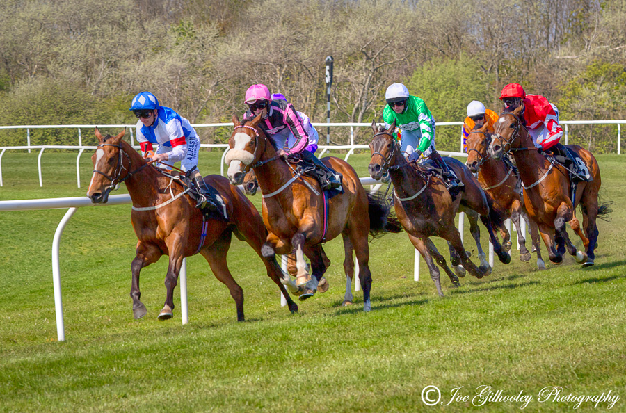 Musselburgh Races